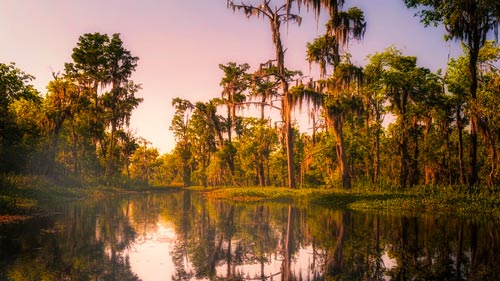 Outdoor Baton Rouge