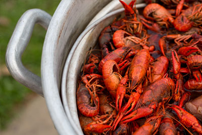 Crawfish Boil, New Orleans