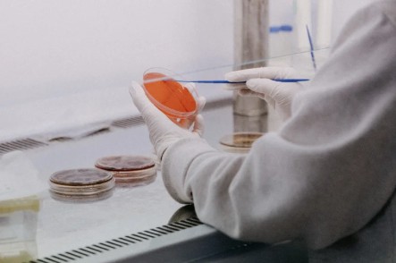 about research
