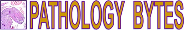 Pathology Bytes