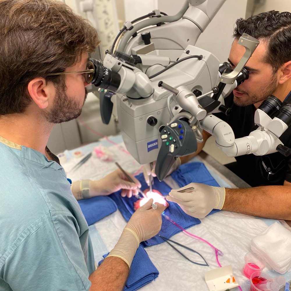 resident looking in microscope in lab